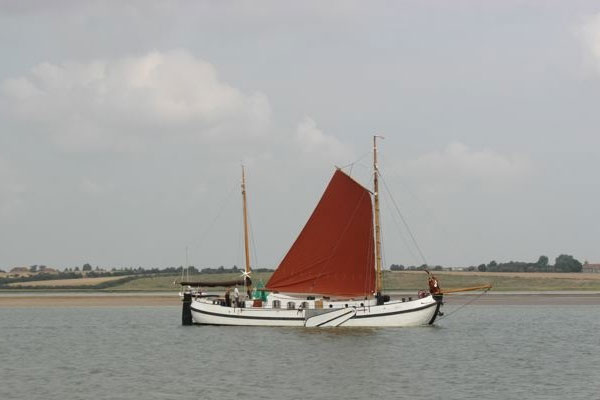 Friso